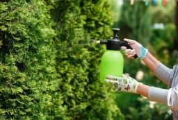 Préserver ce qui fleurit déjà : comment préparer votre jardin pour les mois les plus chauds