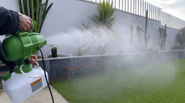 Avril, un mois clé pour les plantes de votre jardin