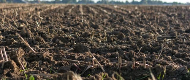 Qu’est-ce que le substrat et à quoi sert-il ?