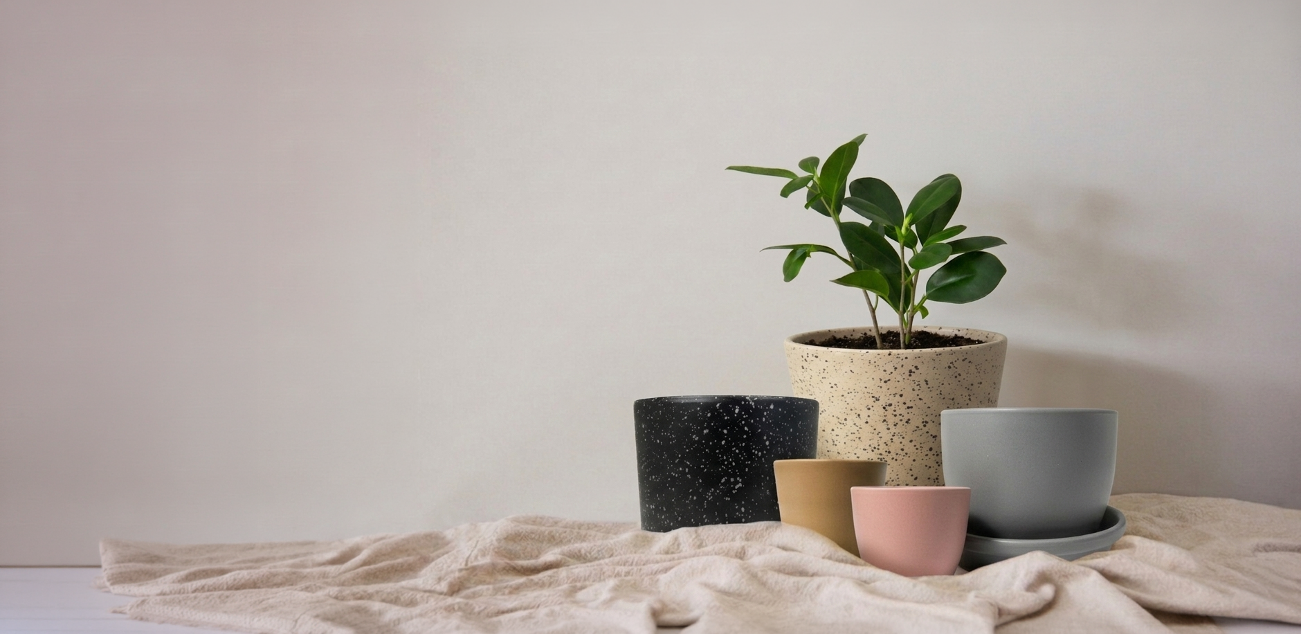Connaissez-vous notre gamme de pots ?