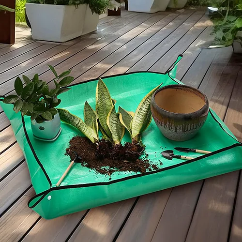 Soin des plantes