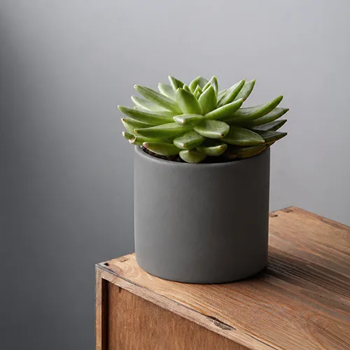 Pots